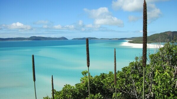 Whitsundays - an Island Paradise