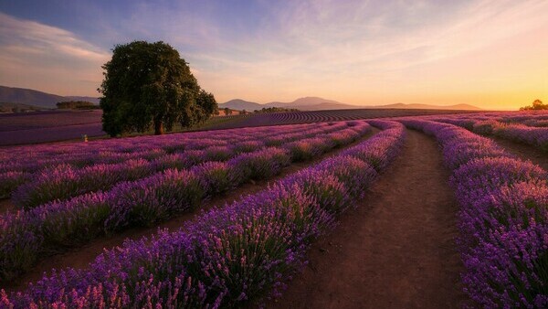 East Coast - Nature and heritage